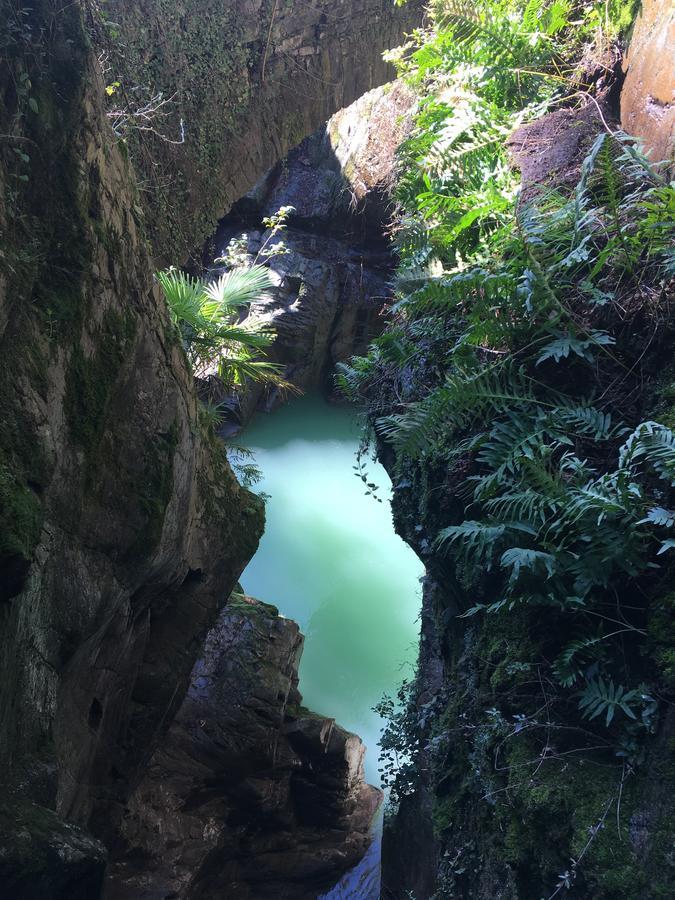 Riflessi Di Lago Dorio 外观 照片