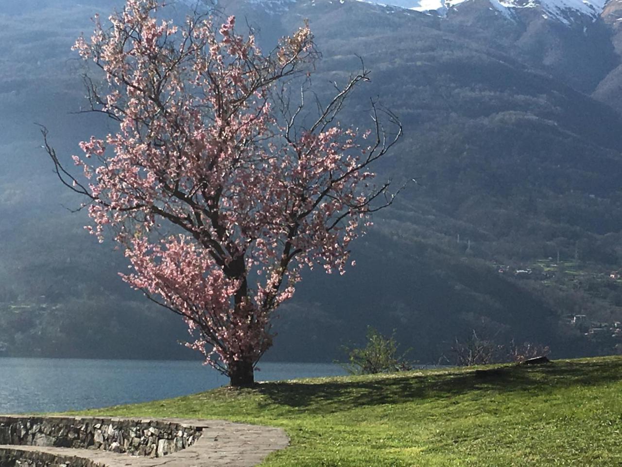 Riflessi Di Lago Dorio 外观 照片